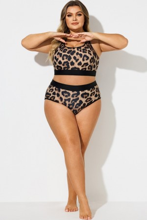 Braga De Baño De Talla Grande Sexy Con Estampado De Leopardo